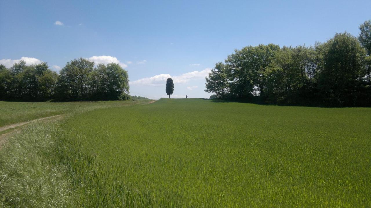 Appartamento Miralago Bolsena Bagian luar foto