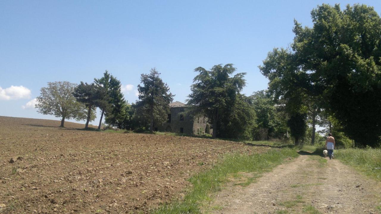 Appartamento Miralago Bolsena Bagian luar foto